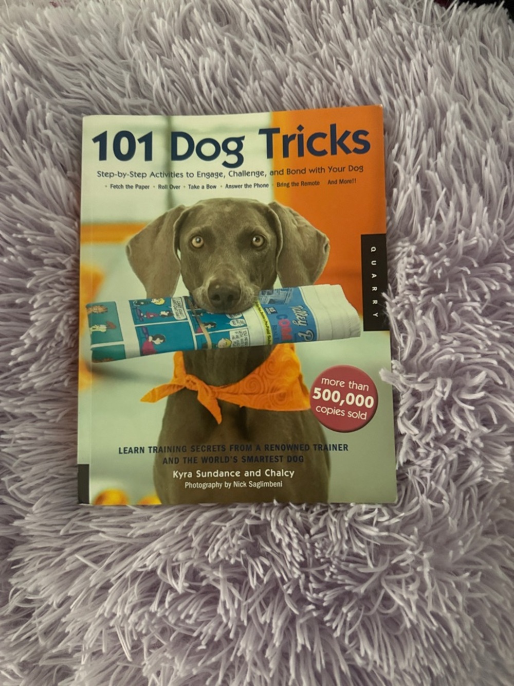 101 Dog Tricks - Training Book (Orange Accent)
